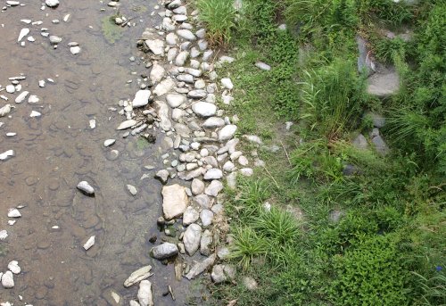 川岸のかんのう