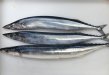 記事のサムネイル写真