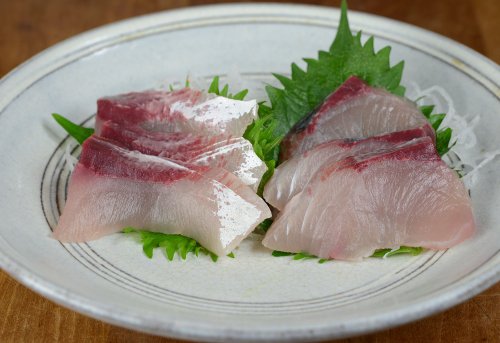 相模湾二宮定置のワラサの刺身、3日間 | コラム | 市場魚貝類図鑑