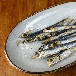 松江市恵曇の「小すじ」が素晴らしい | コラム | 市場魚貝類図鑑