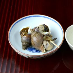 酒の肴は磯つぶの醤油煮 | コラム | 市場魚貝類図鑑