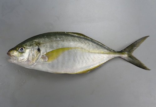 クリックで拡大表示