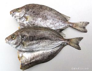 クリックで拡大表示 ばりこの開き干し
