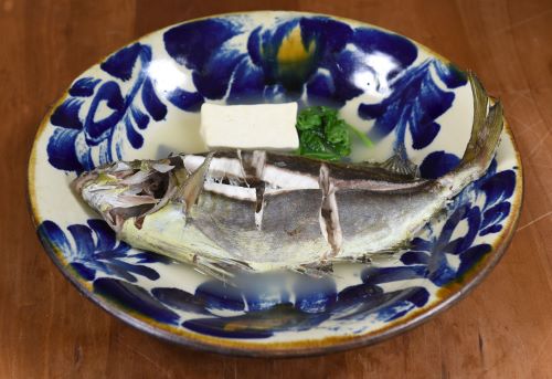 アイゴ バリ 市場魚貝類図鑑