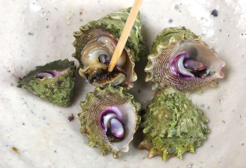 クリックで拡大表示