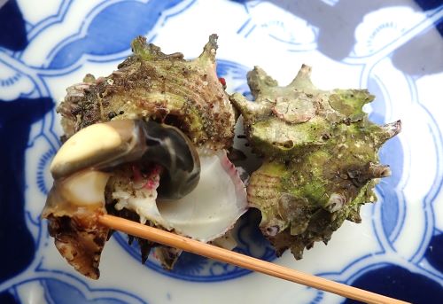 クリックで拡大表示