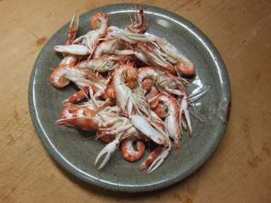 クリックで拡大表示 茹でたツメナガオニテッポウエビ