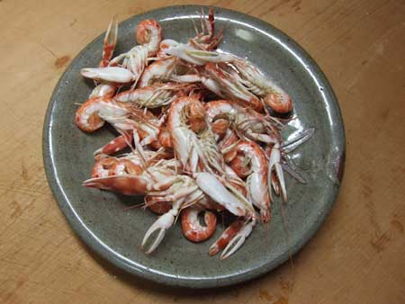 茹でたツメナガオニテッポウエビ