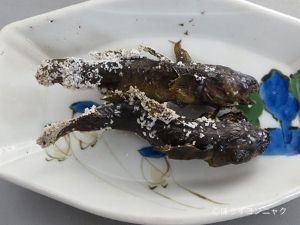 クリックで拡大表示 ヌマチチブの塩焼き