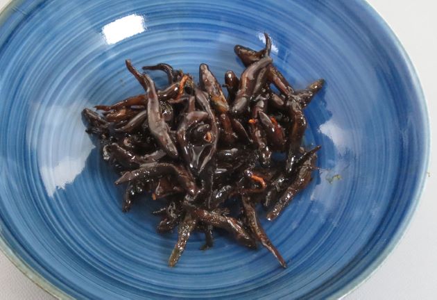 ヌマチチブ 魚類 市場魚貝類図鑑