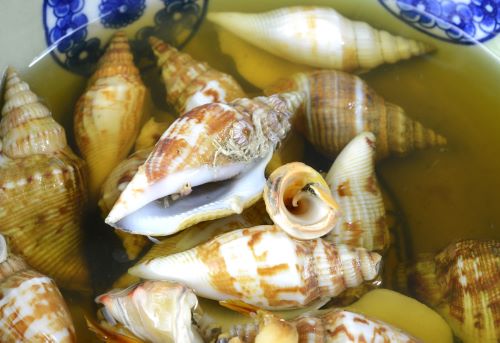 クリックで拡大表示