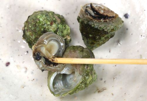 クリックで拡大表示