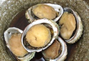 クリックで拡大表示