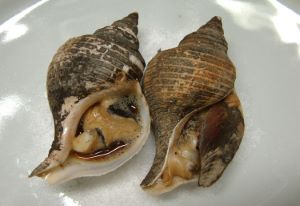 クリックで拡大表示