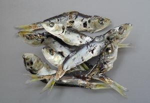 クリックで拡大表示