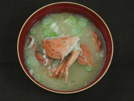 コツノキンセンモドキのみそ汁