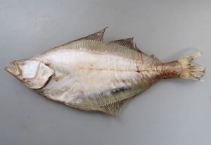 クリックで拡大表示