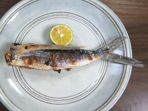アヤトビウオ 魚類 市場魚貝類図鑑 アヤトビウオ 魚類 市場魚貝類図鑑