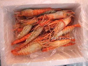 クリックで拡大表示