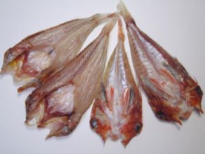 クリックで拡大表示