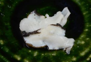 クリックで拡大表示