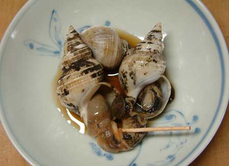 スルガバイの煮つけ