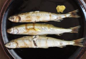 クリックで拡大表示