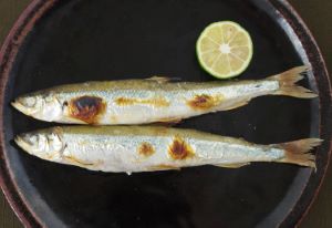 クリックで拡大表示