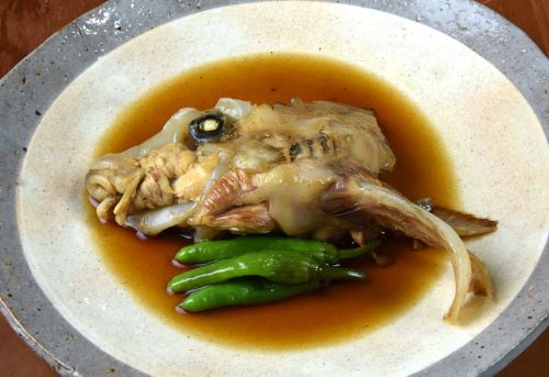 ネコザメ 魚類 市場魚貝類図鑑