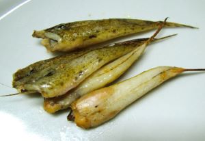 クリックで拡大表示