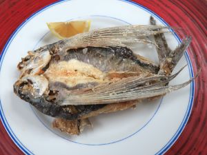 クリックで拡大表示 ツクシトビウオの唐揚げ