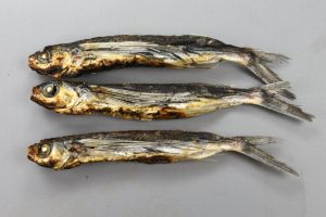 クリックで拡大表示