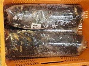 クリックで拡大表示