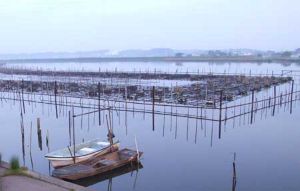 クリックで拡大表示