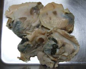 クリックで拡大表示