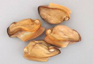 クリックで拡大表示