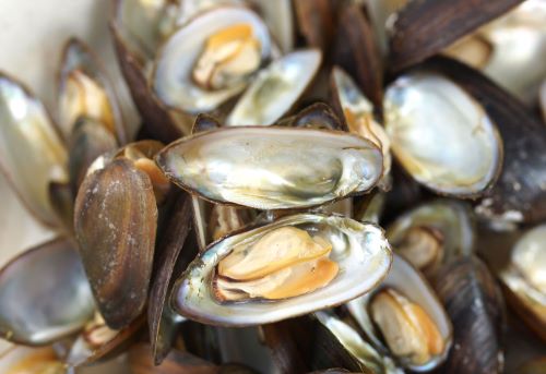 クリックで拡大表示