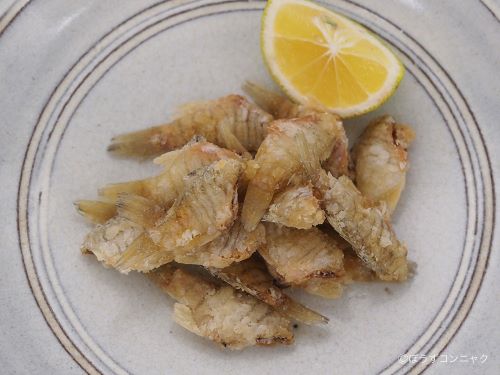 テンジクダイ 魚類 市場魚貝類図鑑