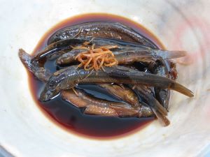 ドジョウ 魚類 市場魚貝類図鑑