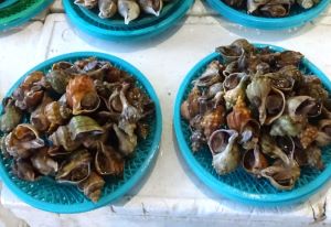 クリックで拡大表示