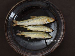 クリックで拡大表示 ビワヒガイの素焼き