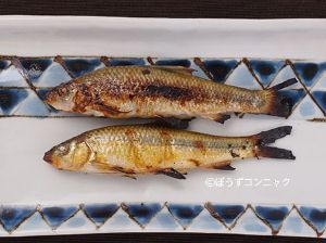 クリックで拡大表示 ビワヒガイのつけ焼き