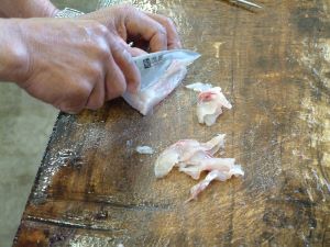 クリックで拡大表示 ニゴイの洗いを作る