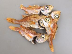 クリックで拡大表示