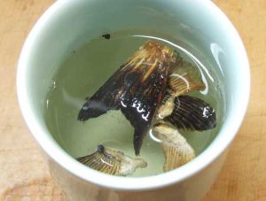 クリックで拡大表示 トラフグのヒレ酒