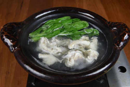 トラフグ 魚類 市場魚貝類図鑑