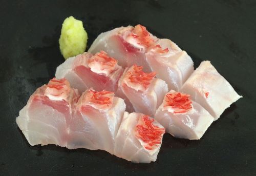 エビスダイ 魚類 市場魚貝類図鑑 エビスダイ 魚類 市場魚貝類図鑑