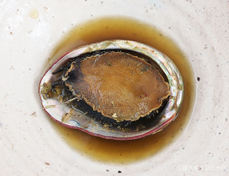 アカネアワビの煮貝