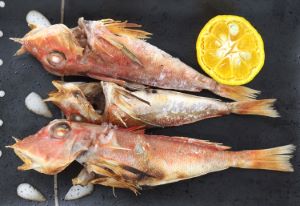 クリックで拡大表示