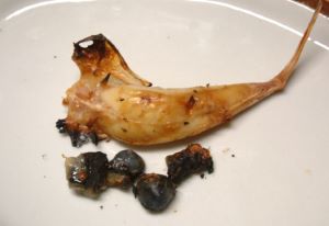 クリックで拡大表示